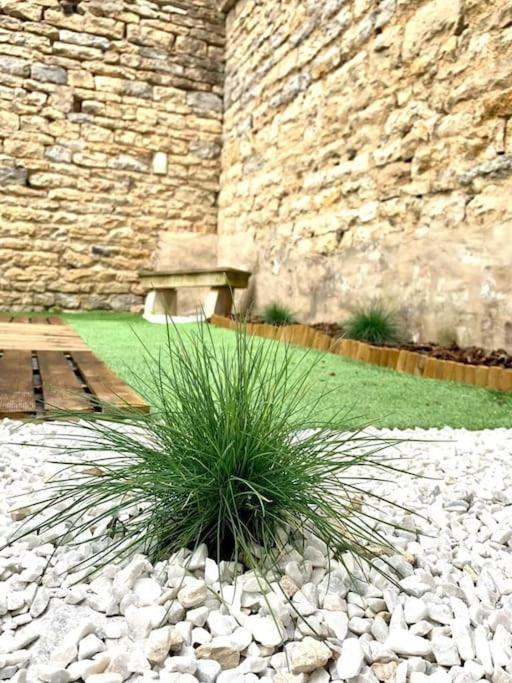 L'Eden, Apt 4 Prs Avec Jardin En Centre Ville Dijon Exterior foto